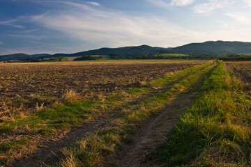 Fototapeta na wymiar Road through the fields, Poland.
