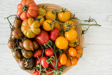 colorful tomatoes