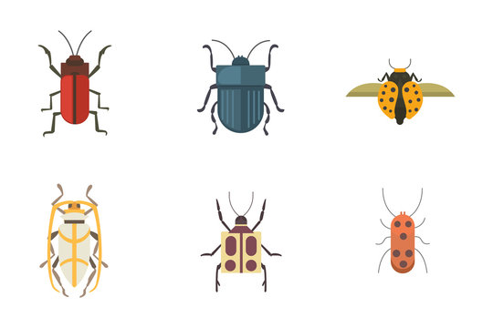 Set of insects flat style vector design icons. Collection nature beetle and zoology cartoon illustration. Bug icon wildlife concept