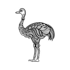 Vector of ostrich in zentangle style.Hand drawn  Black and White illustration