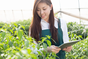 young asian woman working in green house