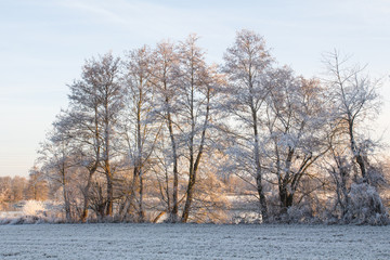 Naklejka na ściany i meble Winter landscape in Bavaria
