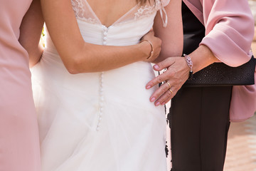 bride in gown with woman on each side, rear view, close up