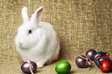 White clean beautiful Easter bunny next to a wicker basket with eggs in the background krashenyymi...