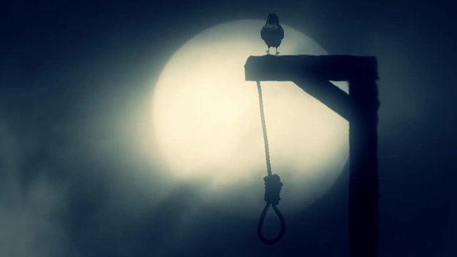 Nooses Hanging on the Gallows with a Raven on a Misty Full Moon Spooky Night