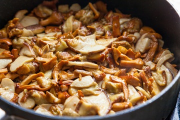 Fried chanterelles in the pan