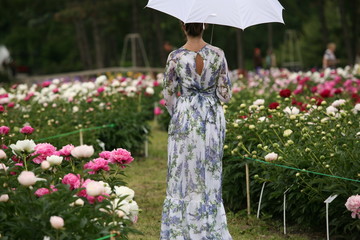 young woman in the peony valley