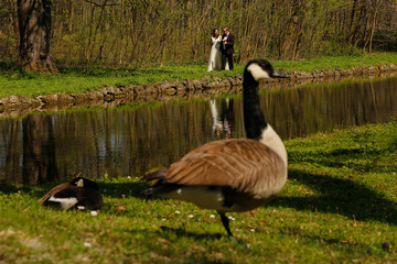 Groom and bride in nature