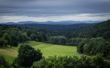 Green landscape