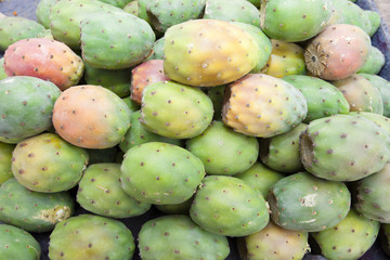 Cactus fruits