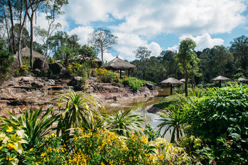 Jungle landscape with flowing water at deep tropical rain forest. National Park Phu Quoc Vietnam