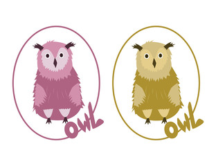 Two Owls  on the white background