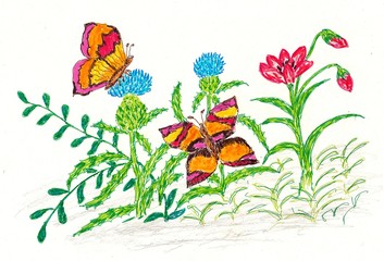 Hand drawn multicolor illustration with nature theme (butterflies in nature) - scan