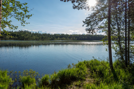 Stilla vy &ouml;ver stranden och vattnet i Herts&ouml;tr&auml;sket