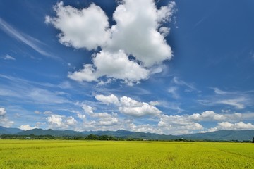 Fototapeta premium 秋の空と田園の風景