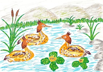 Hand drawn multicolor illustration with nature theme (wild ducks on the pond) - scan