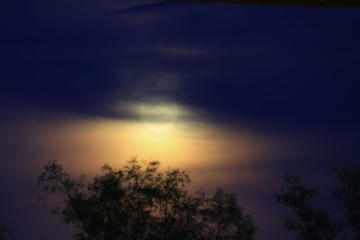 Fototapeta na wymiar Full moon beautiful over dark sky at have tree shadow in night