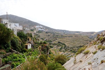 Fototapeta na wymiar Folegandros - tiny rocky Cycladic island/ fertile soil is very small. Almost no water. Agricultural production is difficult. produced cheese, is fishing, are Grown herbs, there's apiaries 