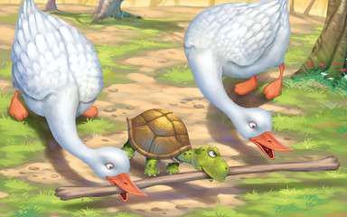 Goose and the tortoise
