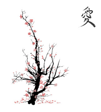 Realistic sakura blossom - Japanese cherry tree isolated on white background. Vector