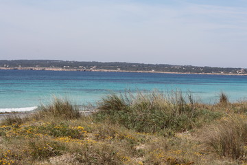 Landschaft und Meer1