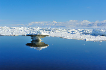 オホーツクの春 © Gold