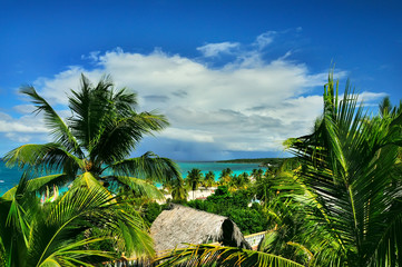 beautiful view from above on a tropical beach and palm trees.
