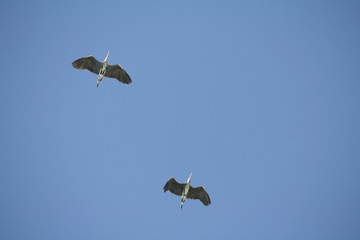 Landschaft und Meer1
