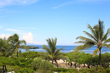 Fototapeta na wymiar Beautiful view of a tropical resort and garden