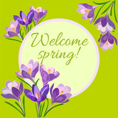 Card, banner with spring flowers crocuses, round frame, a welcoming text on a green background.