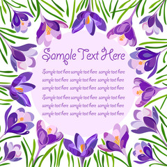 Postcard banner with spring flowers crocus, saffron, space for text.