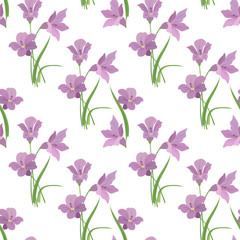  Seamless pattern with spring flowers of freesia, saffron, crocus, white background