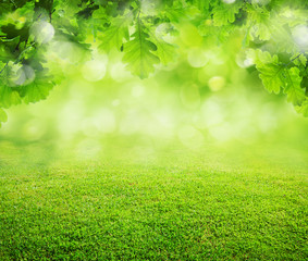 Fototapeta premium spring grass background