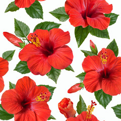 red hibiscus flowers seamless pattern