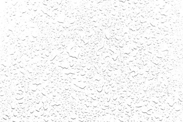 The concept of water drops on a white background