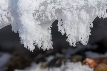 Зимний морозный день на берегу реки. Природа Сибири. Winter frosty day on the river bank. Nature of Siberia. 