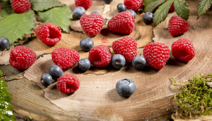raspberry stump forest blueberries delicious beautiful fern moss grass green basket