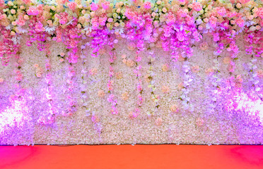 Beautiful pink and white flower backdrop white spot light.