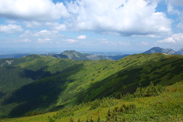 Fototapeta premium OLYMPUS DIGITAL CAMERA