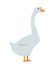 Goose Vector Illustration in Flat Design