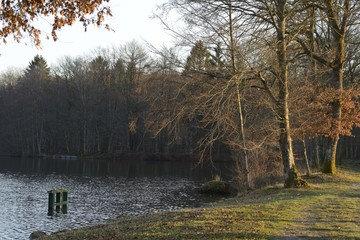 Pisciculture, Etangs de Franche Comt&eacute;