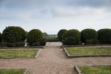 boxwood bushes with a balustrade