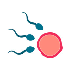 egg and sperm flat icon