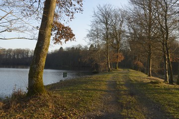 Pisciculture, Etangs de Franche Comt&eacute;