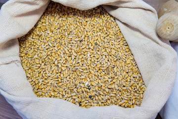 vari cereali agricoltura biologica