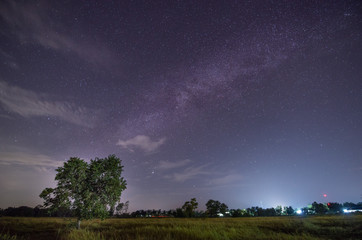 Milky way galaxy with stars and space dust in the Green Terraced Rice Field in Thailand