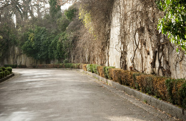 Trail in the park