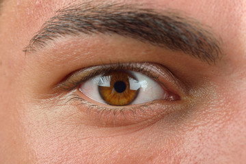 Close up picture of brown human eye. Young man with long eyelash