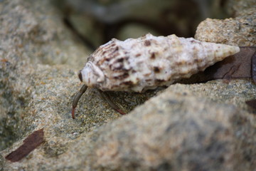 Landschaft und Meer 6