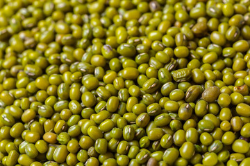 Green bean